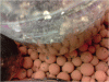 P110110_21.22[04].gif