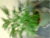 P110110_19.59[01].gif