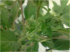 P110110_19.59[03].gif