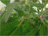 P110110_19.59[04].gif