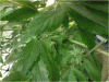 P110110_19.59[05].gif