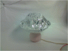 P110110_21.19.gif