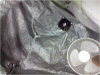 P110110_21.20[02].gif