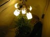 DSCN1957.jpg