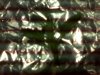 IMG00031.jpg