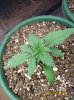100_1840.jpg
