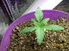 100_1841.jpg