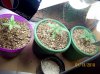 100_1842.jpg