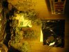 purps 017 [Desktop Resolution].jpg