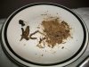 100_0034.jpg