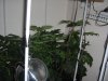 IMG_2000.jpg