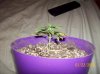 100_1851.jpg