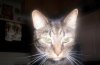 100_3437.jpg