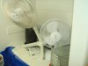 colins weed 009.jpg