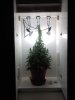 Male Plant  - 1.jpg