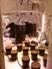 hydro setup.jpg