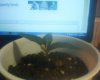 DSC-0048.jpg