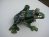 frog1.JPG