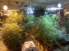 jan 2010 new shop 026.jpg