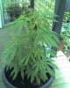 01-02-10_1251.jpg