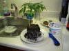 100_0271.jpg