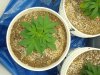 colins weed 026.jpg