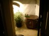 DSC04284.jpg