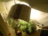 DSC04290.jpg