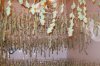 Shop pics Harvest first round 021.jpg