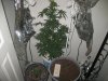 IMG_7572.jpg