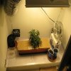 021808_new sprouts_8.jpg