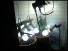 244741804_822506317_0.jpeg