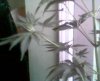 Picture 019.jpg