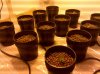 2010-02-05 14.41.39.jpg