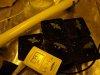 DSC01616.jpg