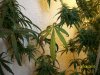100_0182.jpg