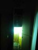 DSCN0767.jpg