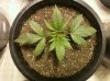day17#2.jpg
