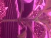 rollitup2 009.jpg