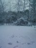 snow2.jpg