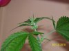 100_2710.jpg