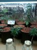 IMG00128-20100213-1552.jpg