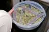 stash.jpg