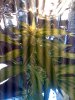 02-21-08_1304.jpg
