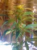 02-21-08_1307.jpg