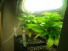 100_0733.jpg
