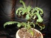 DSC01020.jpg