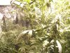 100_0937.JPG