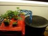 DSC02474.JPG