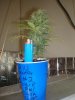 DSC01801.jpg